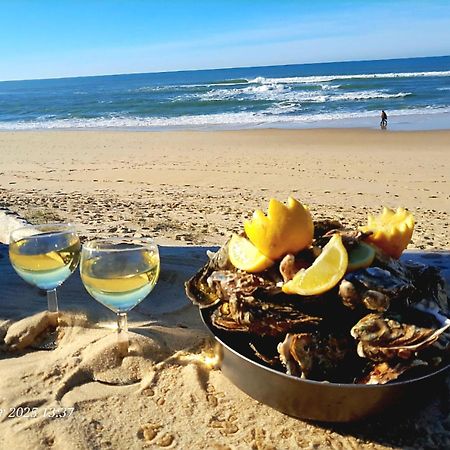 Les Bord'Oceanes Sauna & Spa Villa Marensine Et Villa Oyat Vielle-Saint-Girons Buitenkant foto